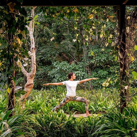 Samsara Ubud Екстериор снимка